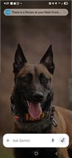 Loki McClanahan